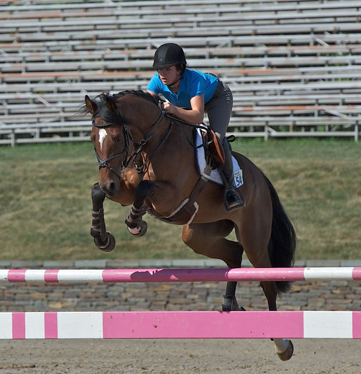 Equestrian Jumping  1073